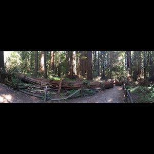 Meet your Posher, Carmen